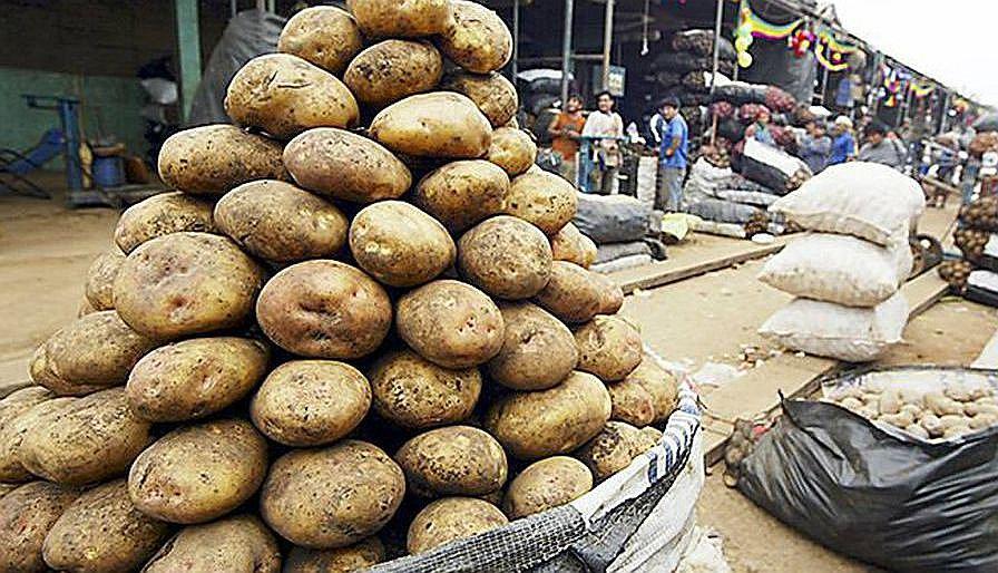 ASOCOMAT ofrece kilo de papa a 50 céntimos