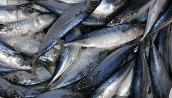 Semana Santa: El consumo de pescado y omega tres es importante todo el año