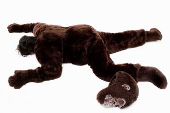 Hombre disfrazado de gorila grave porque le lanzaron dardo sedante