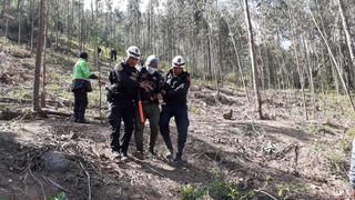 Perros salvan a siete jóvenes de morir por hipotermia al perderse en cerro de Huancayo (VIDEO)