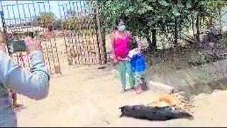 Maltrato animal: Reportan matanza de perros en el sector Villa La Paz, en Sullana