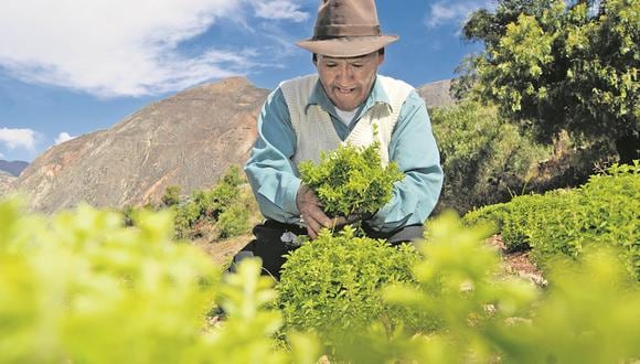 Deuda impaga de los bonos agrarios pone en riesgo la imagen del Perú