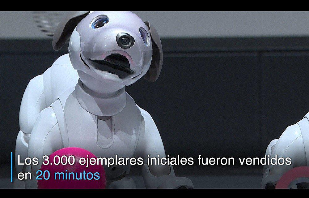 Japón: Presentan una nueva versión de perro robot (VIDEO)