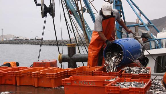 Anchoveta, descarga, pescadores artesanales, muelle. (Foto: GEC)