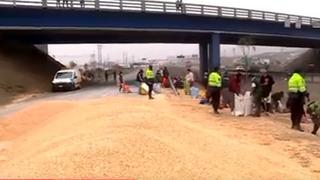 Congestión vehicular por volcadura de camión cargado de maíz en el Km 56.5 de la Panamericana Sur (VIDEO)