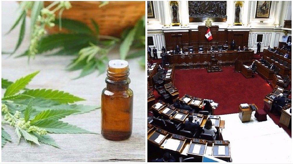 Histórico: Congreso aprueba el uso del cannabis medicinal en el Perú (VIDEO)