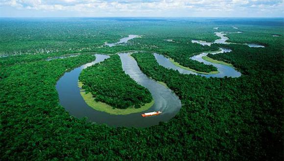 ​Amazonas reduce a la mitad capacidad para absorber dióxido de carbono