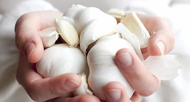 Conoce los beneficios de consumir ajo 