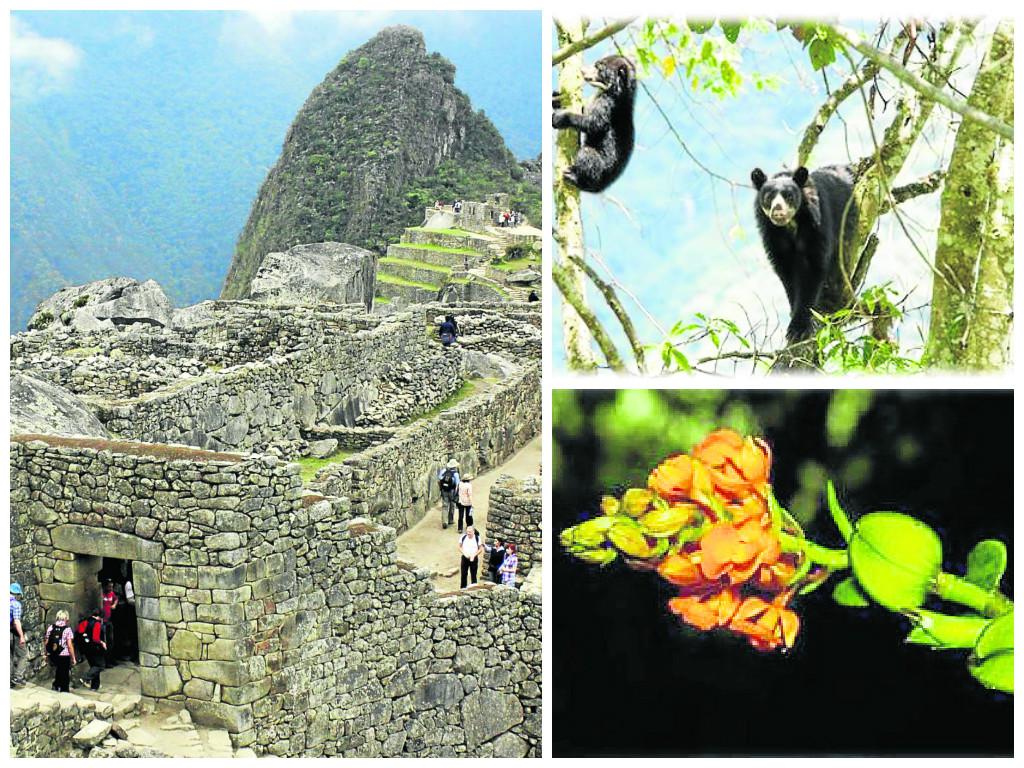 Machupicchu, maravilla histórica y natural 