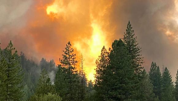 Imagen muestra humo y llamas de Wolf Creek Road, al oeste de Greenville, California, Estados Unidos, 04 de agosto de 2021. (EFE/EPA/US FOREST SERVICE).