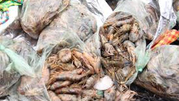 300 kilos de camarones fueron incautados en temporada de veda