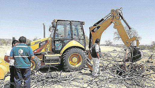 Sechura: Intervenen a conductor de retroexcavadora que extraía madera 