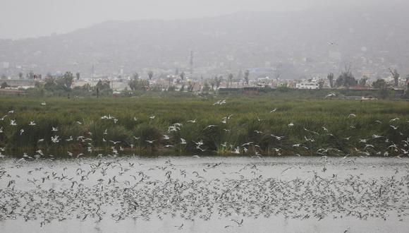 El municipio indicó que según las medidas dadas por el Gobierno, las áreas públicas al aire libre son seguras y necesarias para los ciudadanos. Foto: Andina