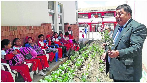 Huancayo: ​Niños y profesores cambian las aulas por biohuertos didácticos