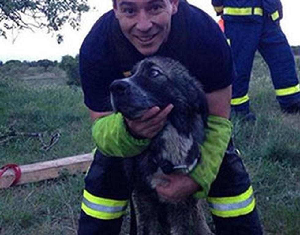 Bomberos rescatan a perrito que fue arrojado en un pozo (FOTOS)
