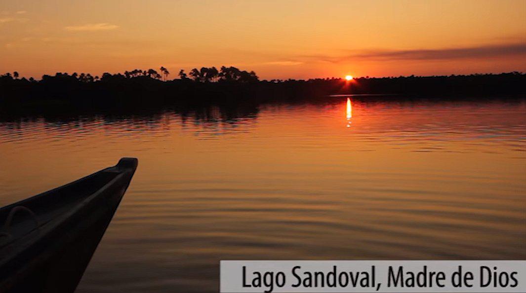 Museo Raimondi lanza canal de YouTube por el Día Internacional de los Museos (VIDEO)