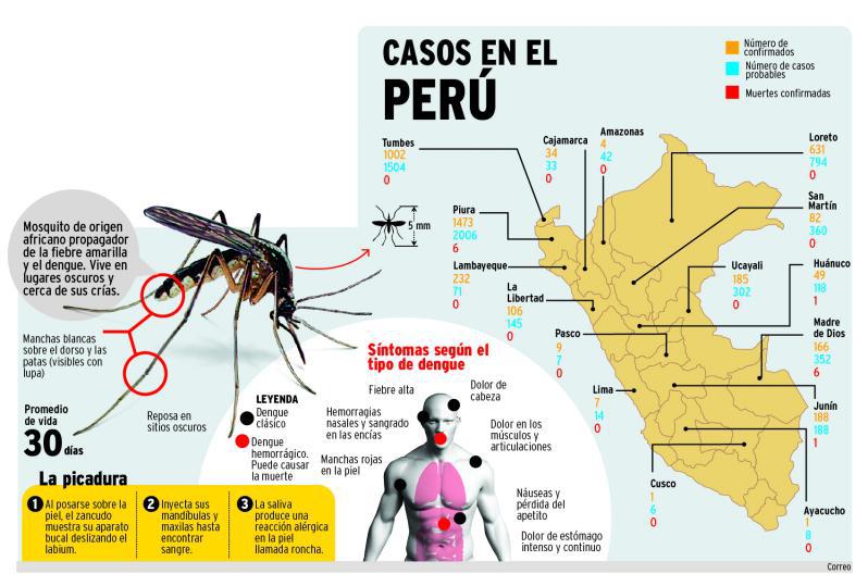Se registra 16 casos de dengue en selva de Pasco