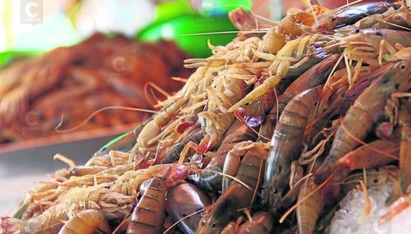 Camaná: Decomisan 20 kilos de camarón  en operativo