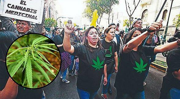 Minsa pone restricciones para el uso del cannabis medicinal 