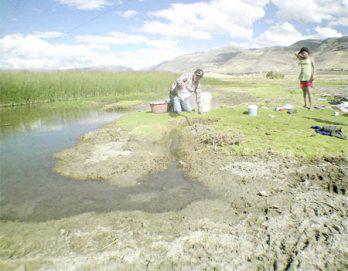 Contaminación en la
 laguna Pucuhs Uclo