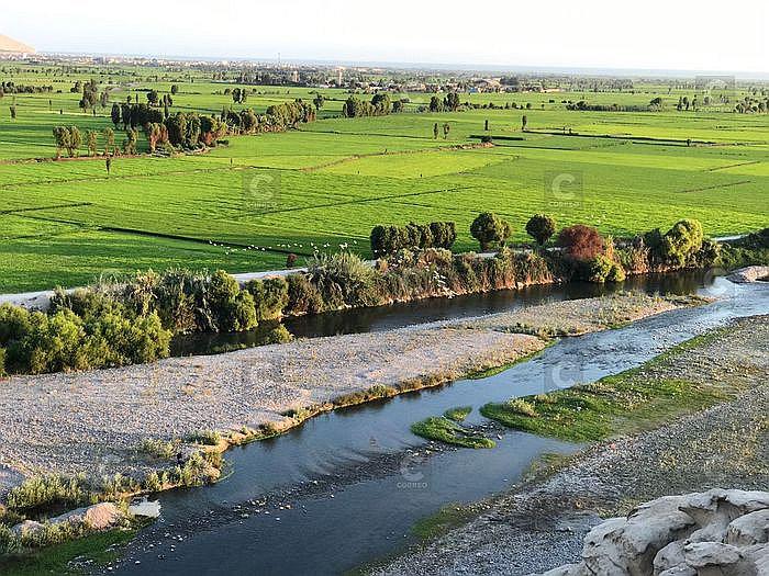 Declaran en emergencia el valle de Camaná por falta de agua
