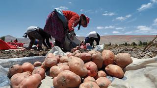 Producción en Arequipa aumentó en un 10,1% y se ubica segunda a nivel nacional