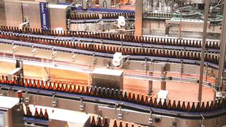 Ejecutivo autoriza reinicio de producción de cerveza, vinos y otras bebidas alcohólicas