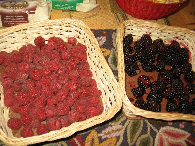 Promueven cultivo de fresas y frutilla para exportación 