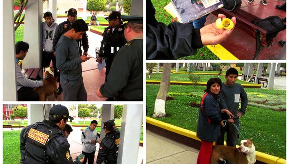 Tacna: usaban pitbull para vender marihuana  y amedrentar a vecinos