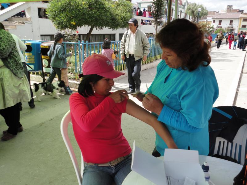 Vacunas contra la gripe AH1N1 llegarán recién en agosto 