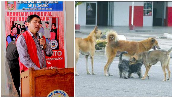 Ante incremento de perros y gatos la municipalidad de El Tambo anuncia esto 