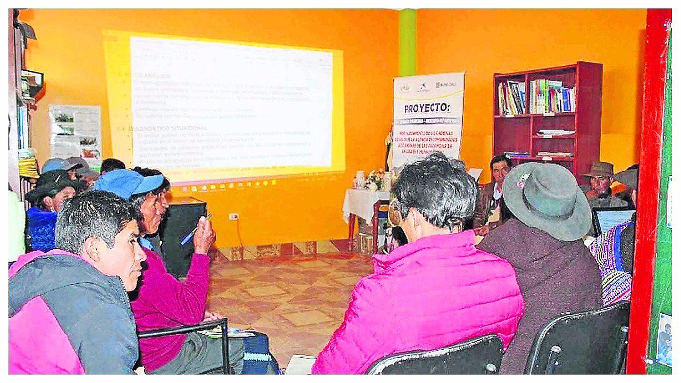 ​Frente al cambio climático alpaqueros piden mayor atención 