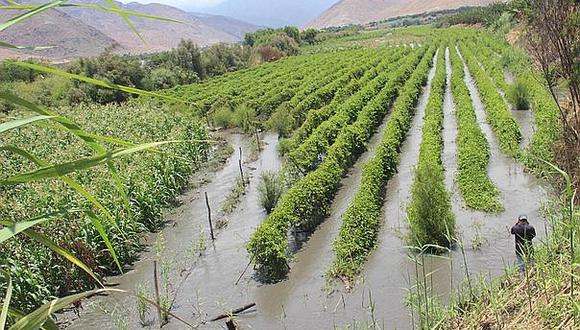 Inician rehabilitación de infraestructura agrícola en valles costeros de Ancash