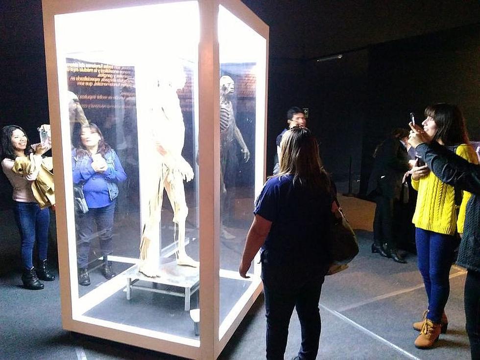 Exhibición de cuerpos reales en Arequipa (VIDEO)