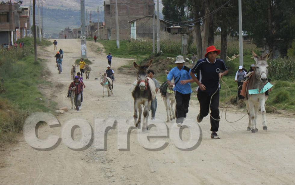 Vea la divertida carrera de burros de Semana Santa (Fotos)