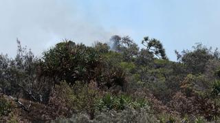 Australia: El fuego devora casi la mitad de la mayor isla de arena del mundo