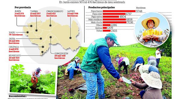 Dirección de Agricultura asegura que no hay desabastecimiento de alimentos en Junín
