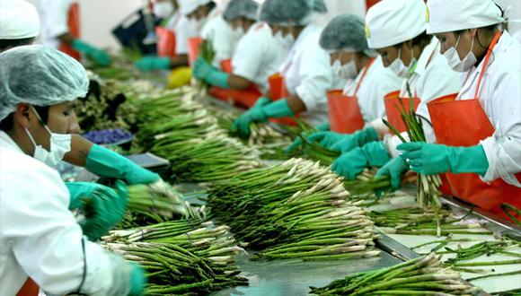 Las agroexportaciones (tradicionales y no tradicionales), generaron en el 2021 cerca de 2 millones de empleos, entre directos, indirectos e inducidos. (Foto: Andina)