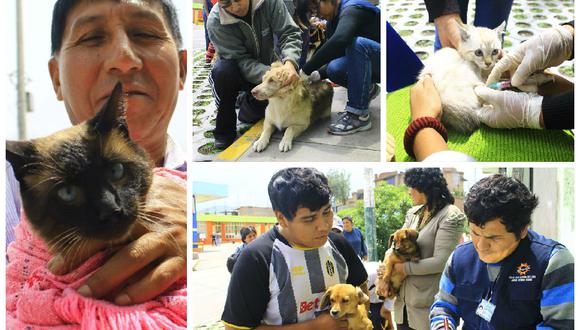 Arequipa: En campaña vacunan contra la rabia a 400 mascotas 