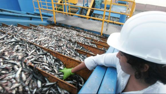 La cuota para consumo humano podrá ser modificado en función al seguimiento permanente de la pesquería de anchoveta que realiza el Instituto del Mar del Perú. (Foto: GEC)