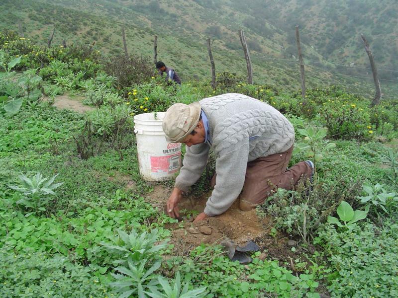 Situación de campesinos sigue siendo de atraso