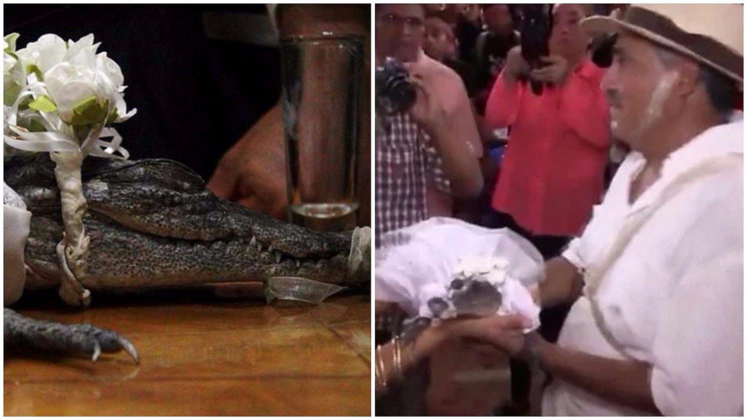 YouTube: la insólita boda de un alcalde de México y un caimán (VIDEO)