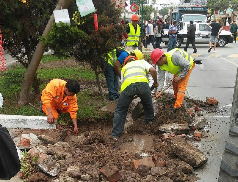 ​Desde WhatsApp: Vecinos de Magdalena indignados por retiro de áreas verdes (FOTOS)