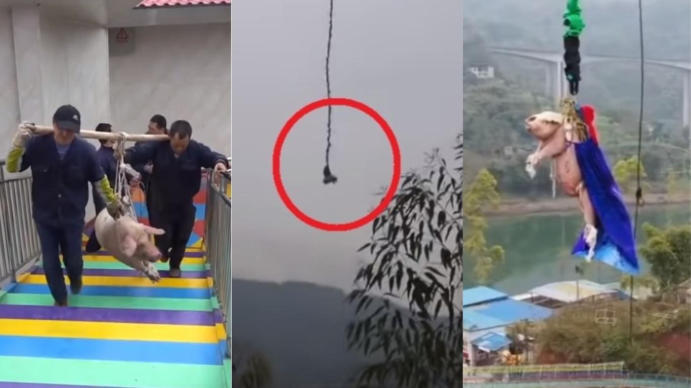 Foto: Captura de YouTube