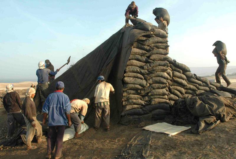 Venta de guano de isla superó los S/. 15 millones en el país