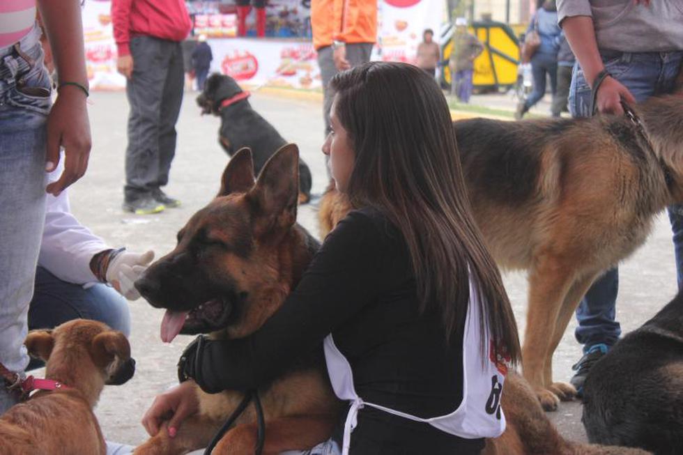 Una competencia  llena de 'amores perros' (FOTOS)