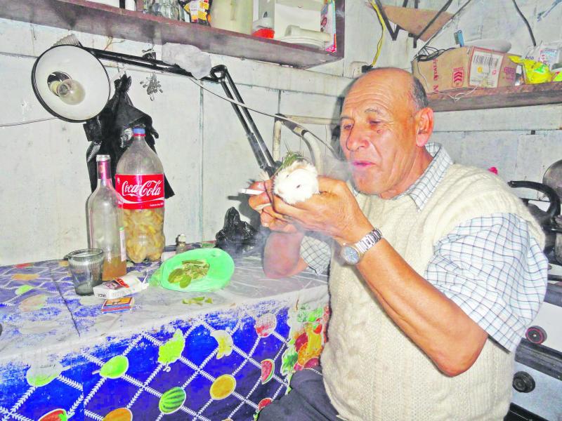 El jubeo con el cuy, el método casero de radiografía 