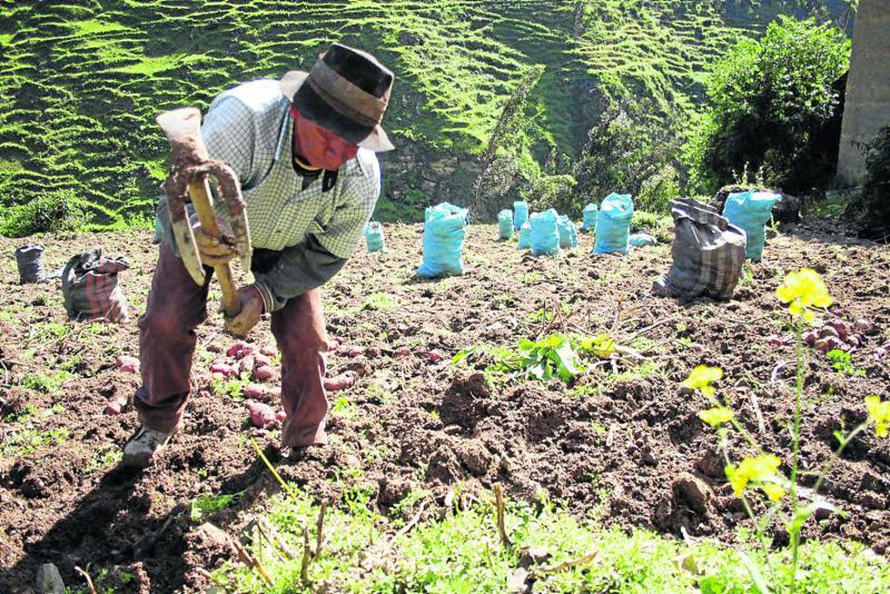 En medio del desempleo se celebra el Día del Campesino 