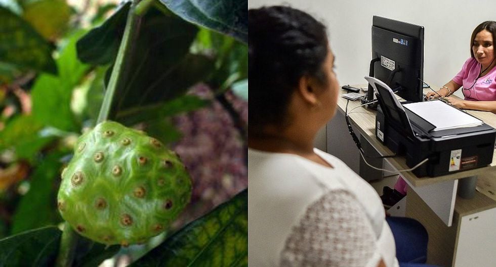 Noni La Medicina Alternativa Para El Cancer Y Otras Enfermedades