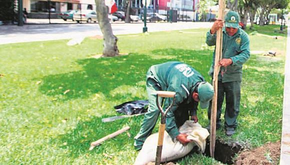 Nueva disputa entre San Isidro y Magdalena por siembra de árboles